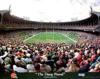 "The Dawg Pound"