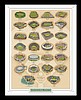 EVOLUTION OF THE BALLPARK