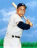 NEW YORK YOGI BERA