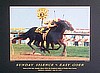 PREAKNESS